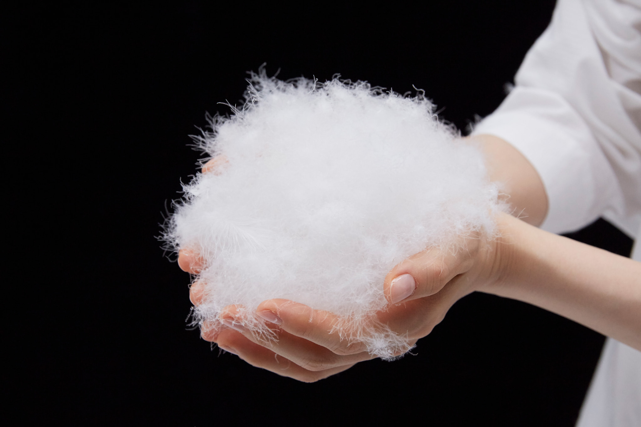 ダウンボール画像