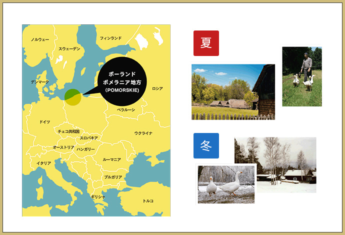 真冬でもあたたかい