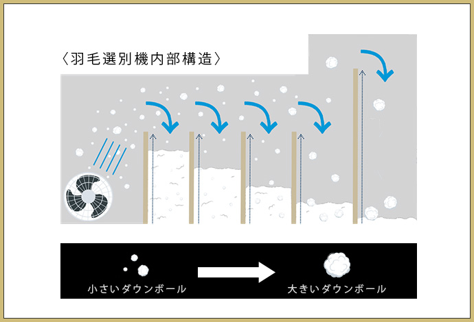 良質なダウンを選別