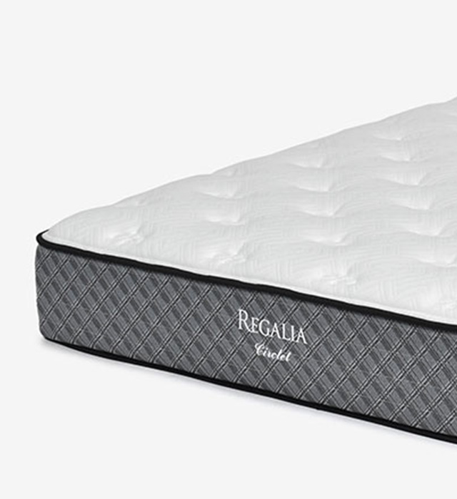 サークレット V