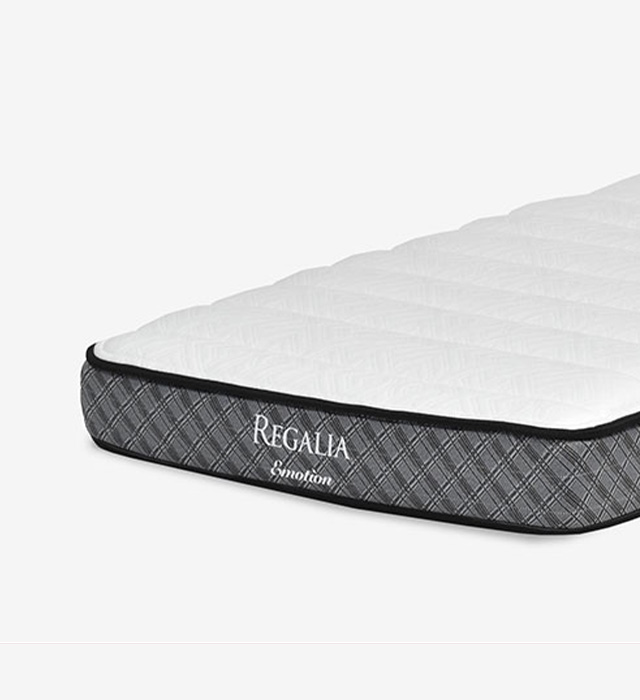 エモーション V