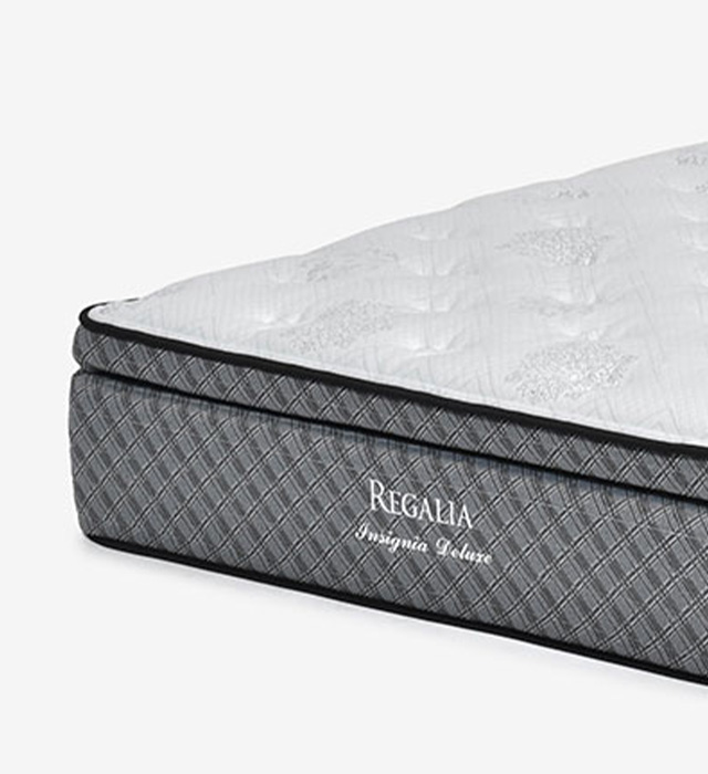 インシグニア DX V