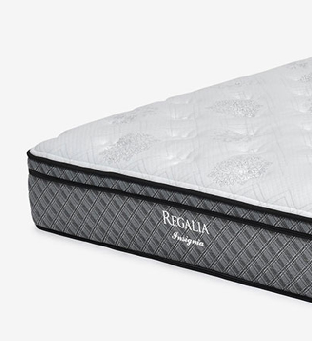 インシグニア V