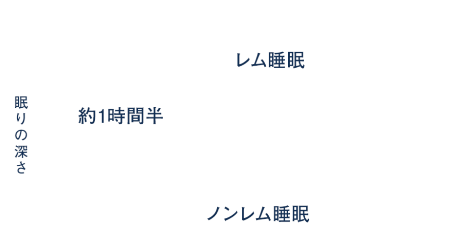＜レム睡眠とノンレム睡眠の同期＞
