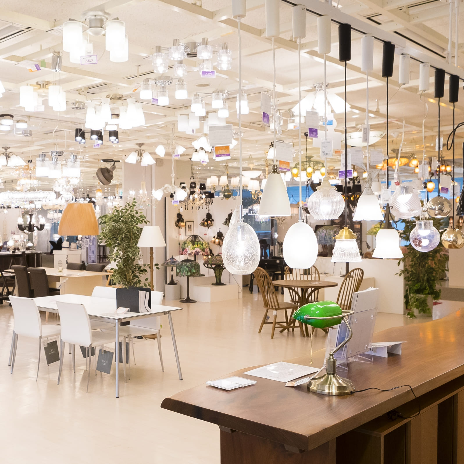 大塚家具の照明売り場