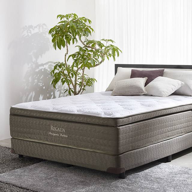 ベッド・マットレス