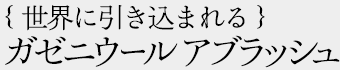 世界に引き込まれる ガゼニウール アブラッシュ