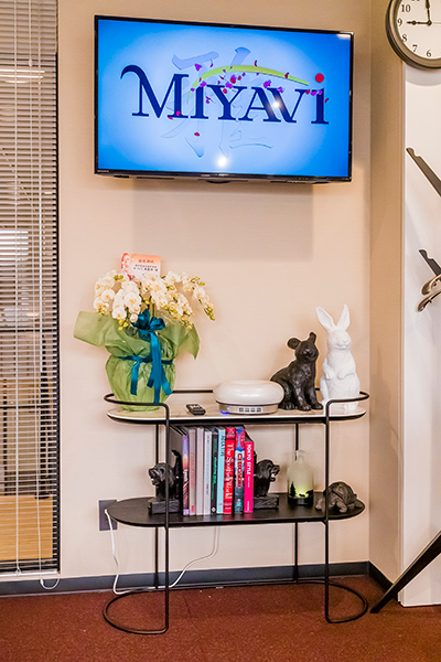 コンソールテーブル「アトロ CS/5130」