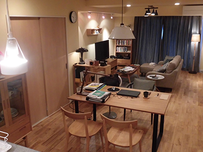 ドラマ「逃げるは恥だが役に立つ」セット