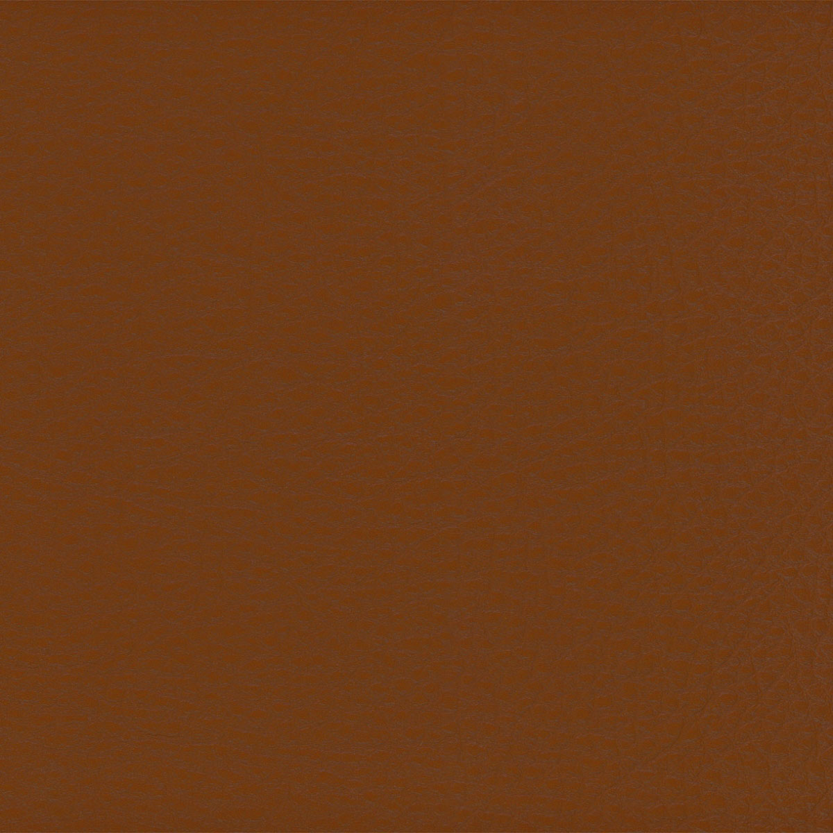 SC 67 Chiodi garofano